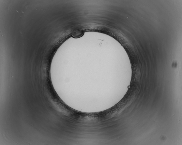 X0000101670546200808071047