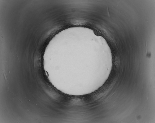 X0000101670547200808071047