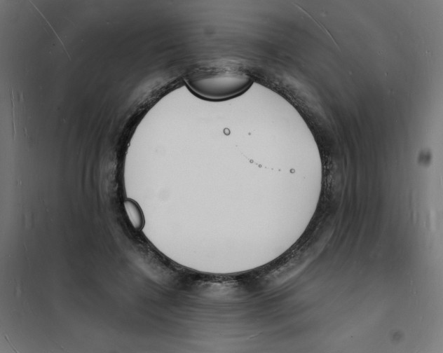 X0000101670548200808071047