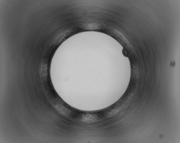 X0000101670549200808071047