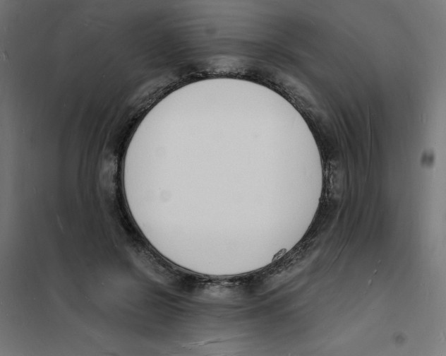 X0000101670550200808071047
