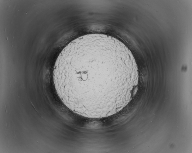 X0000101670551200808071047