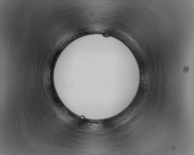 X0000101670552200808071047