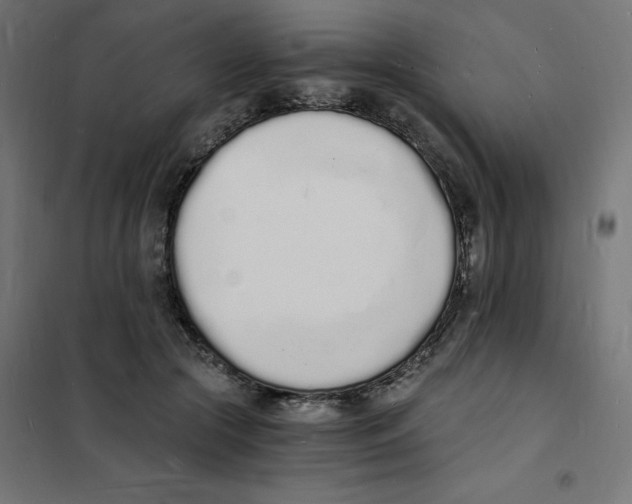 X0000101670553200808071047