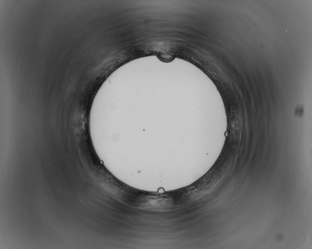 X0000101670555200808071047