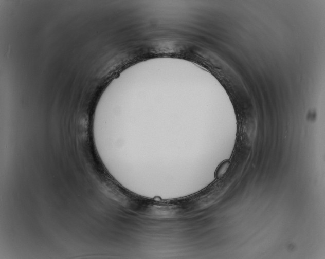 X0000101670556200808071047