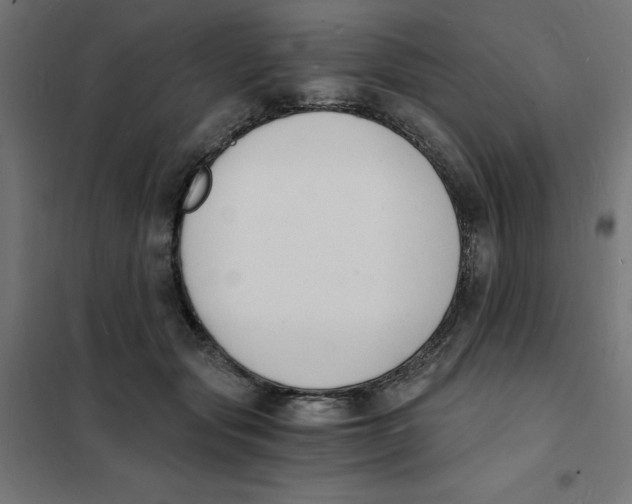 X0000101670557200808071047