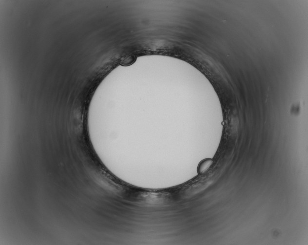 X0000101670558200808071047