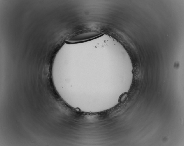 X0000101670560200808071048