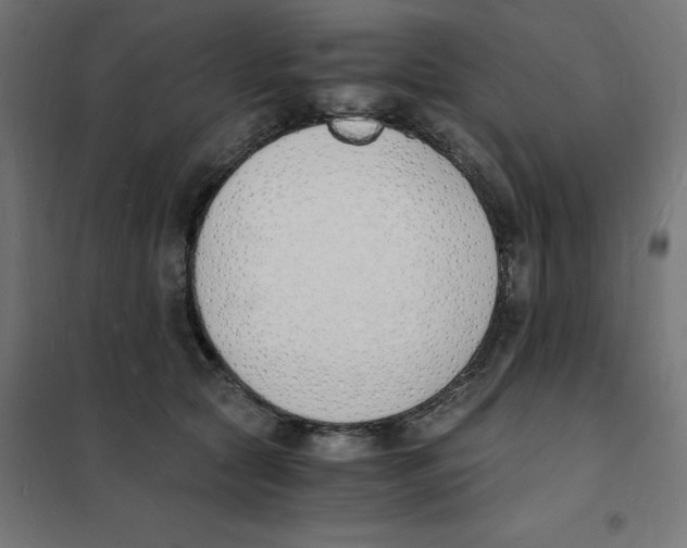 X0000101670561200808071048