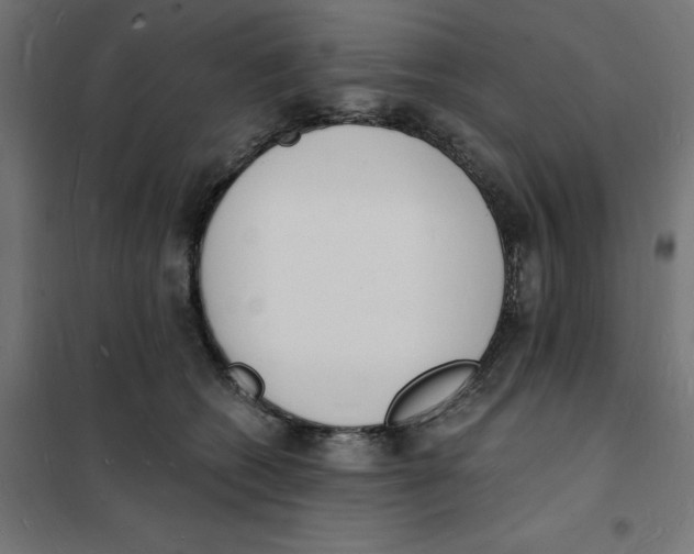 X0000101670562200808071048