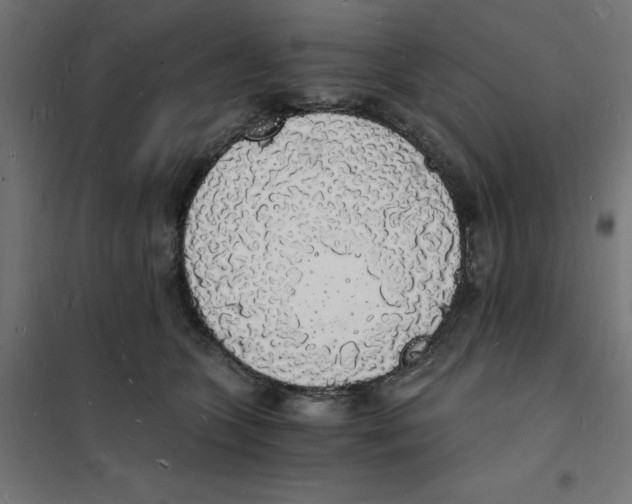 X0000101670563200808071048