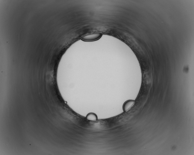 X0000101670564200808071048
