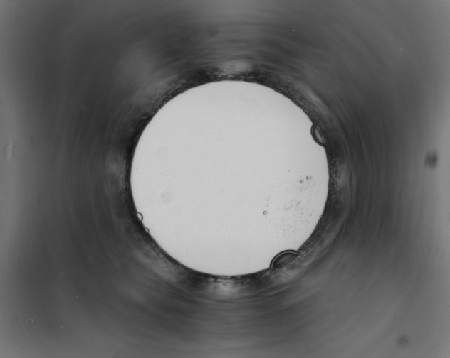 X0000101670565200808071048