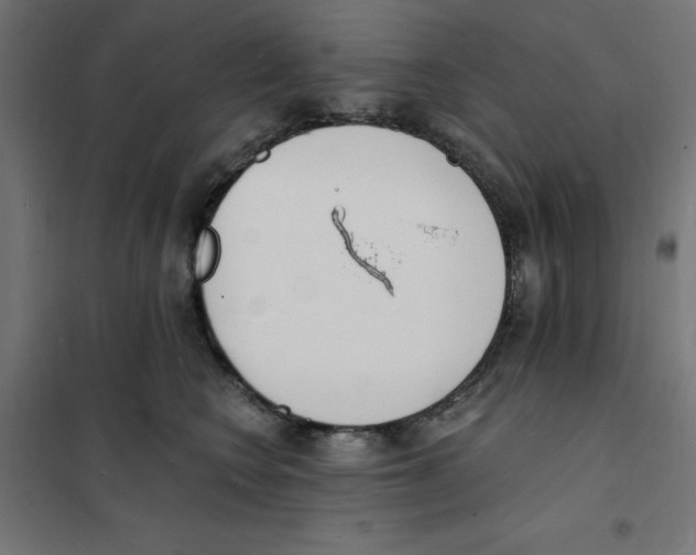 X0000101670566200808071048