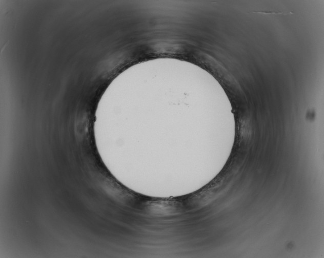 X0000101670567200808071048