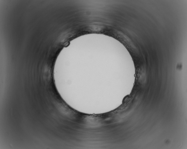 X0000101670568200808071048