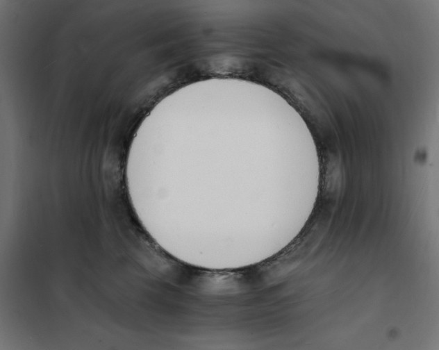 X0000101670569200808071048