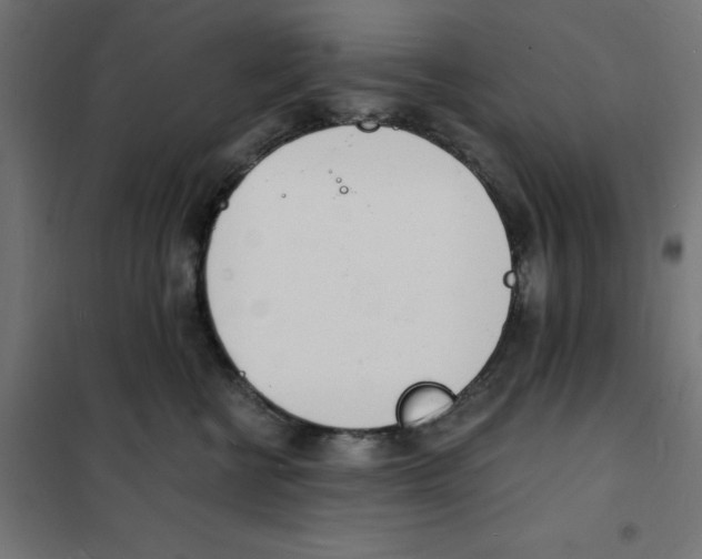 X0000101670570200808071048