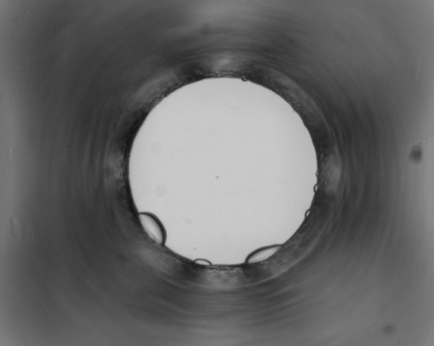 X0000101670571200808071048