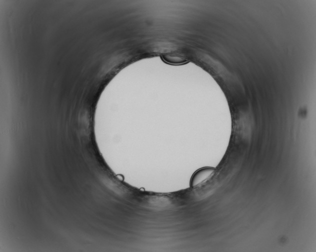 X0000101670572200808071048