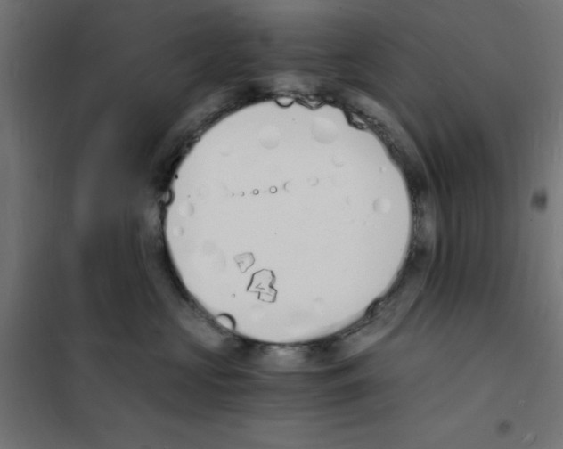 X0000101670573200808071048