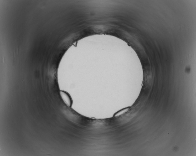 X0000101670574200808071048