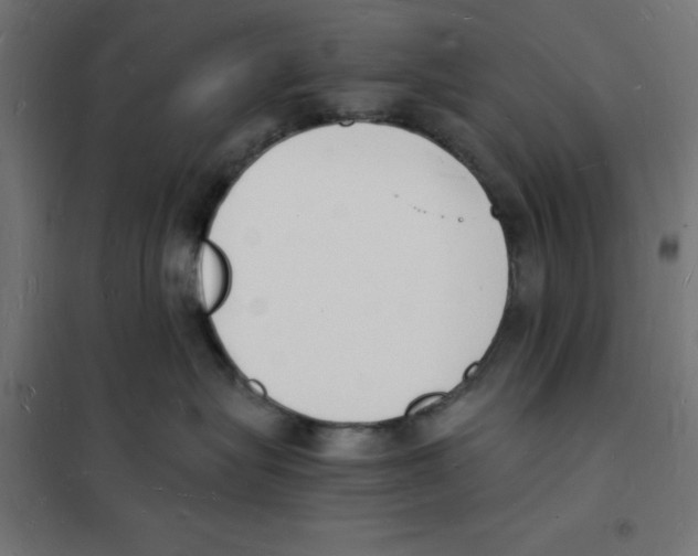 X0000101670575200808071048