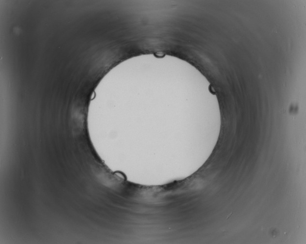 X0000101670576200808071048