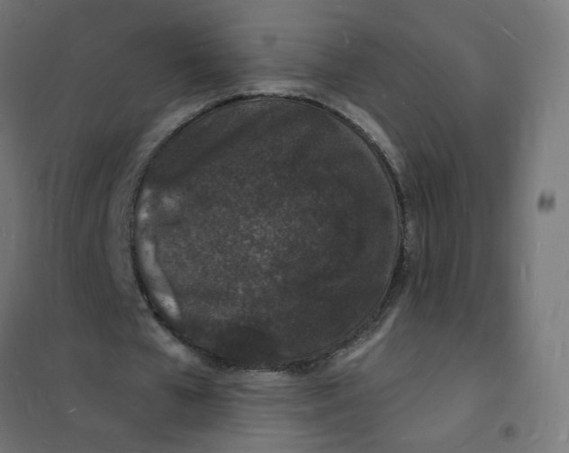 X0000101670577200808071047