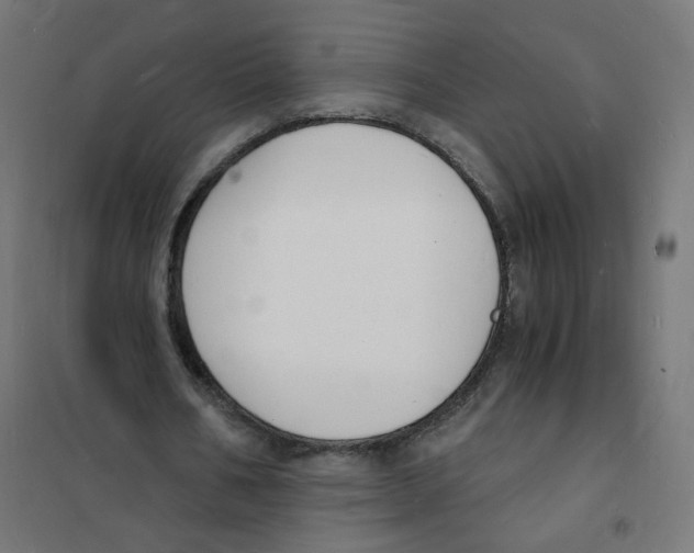 X0000101670578200808071047