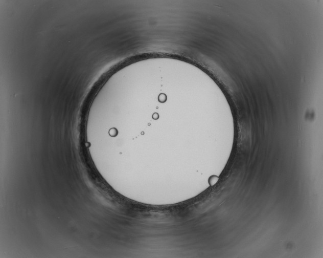 X0000101670580200808071047