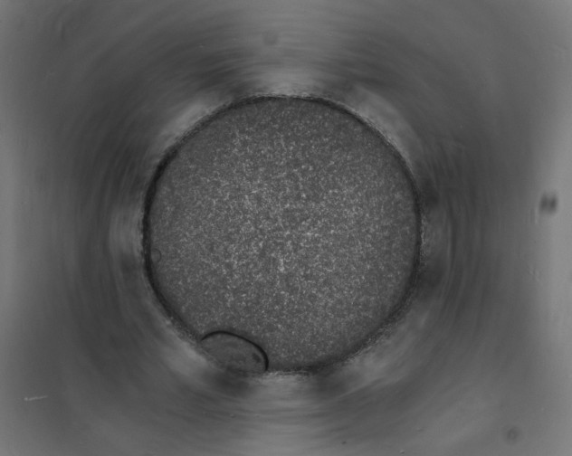 X0000101670581200808071047