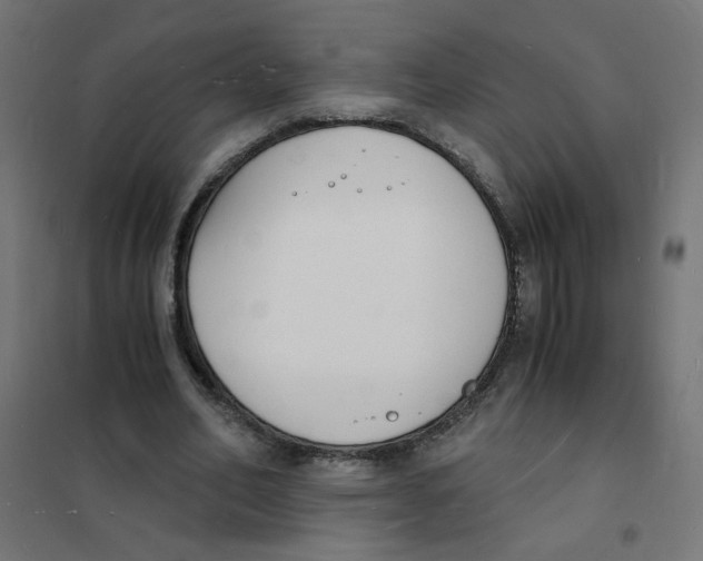 X0000101670582200808071047