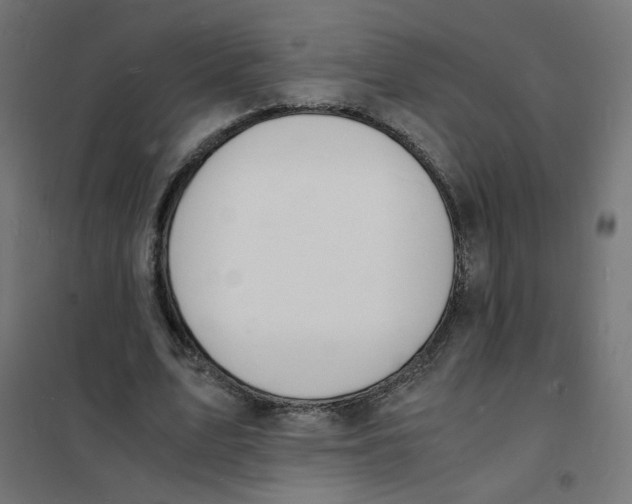 X0000101670583200808071047