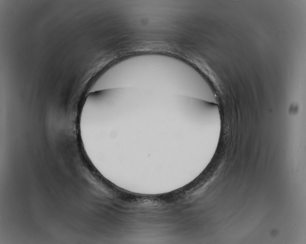 X0000101670585200808071047