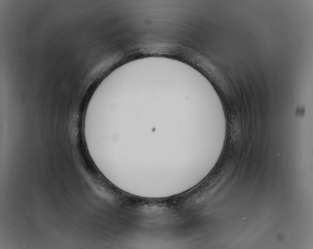 X0000101670586200808071047