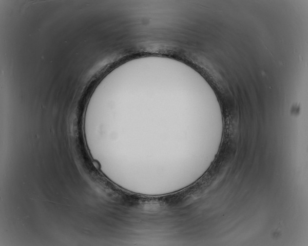 X0000101670587200808071047