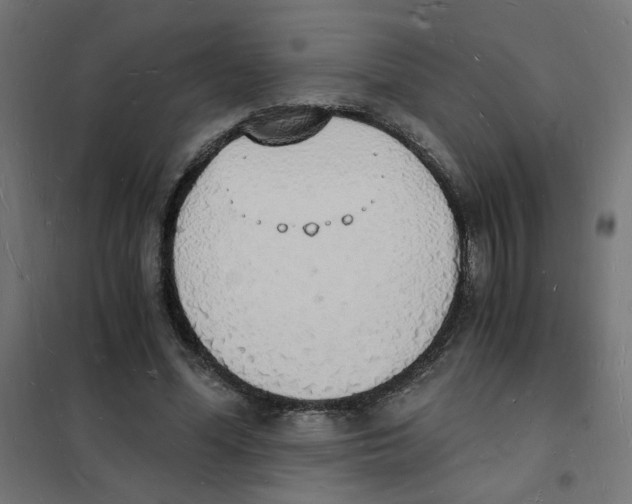 X0000101670588200808071047
