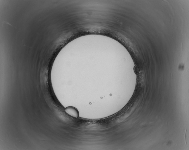 X0000101670589200808071047