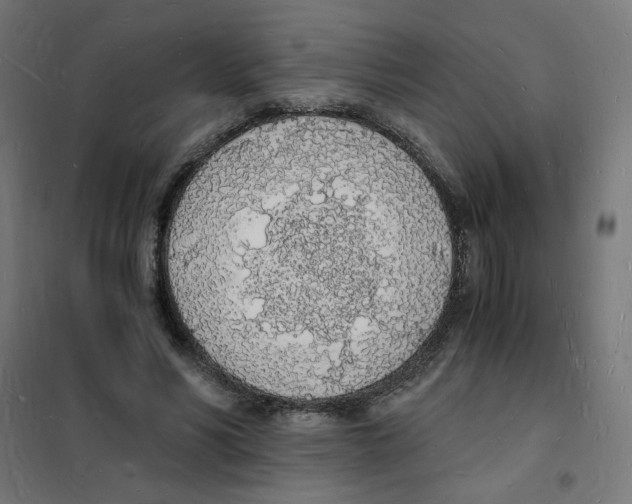 X0000101670590200808071047