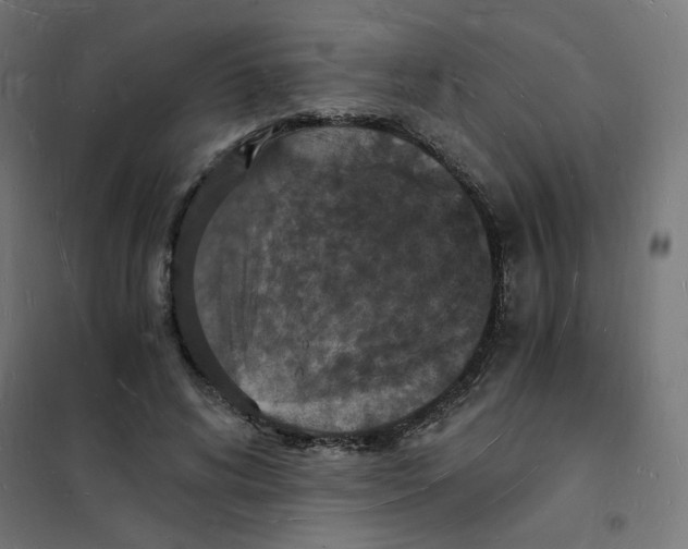 X0000101670592200808071047