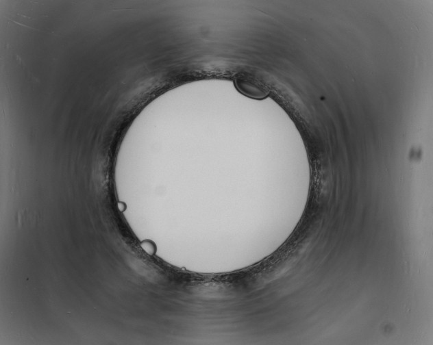 X0000101670593200808071047