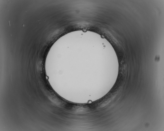 X0000101670597200808071047
