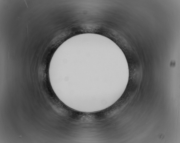 X0000101670599200808071047