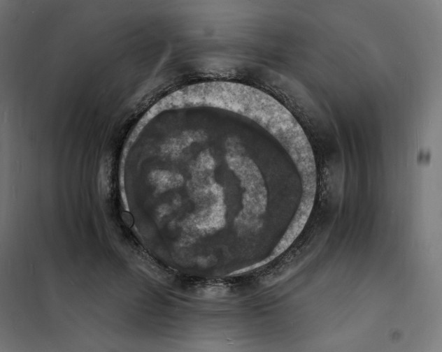 X0000101670600200808071047