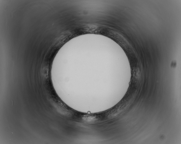 X0000101670602200808071047