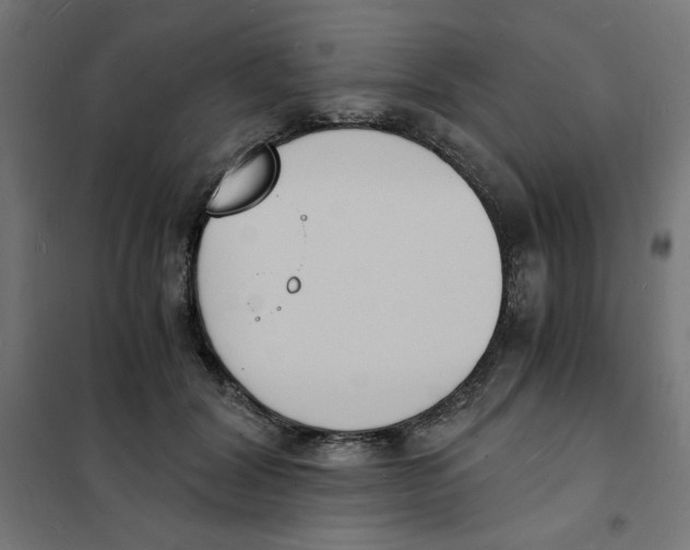 X0000101670604200808071047