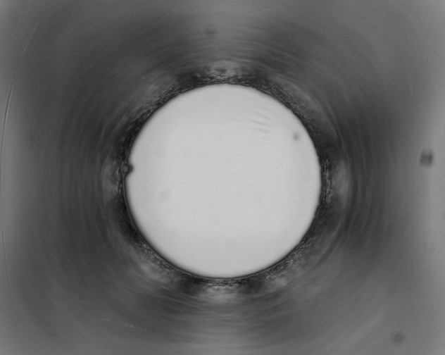 X0000101670606200808071047