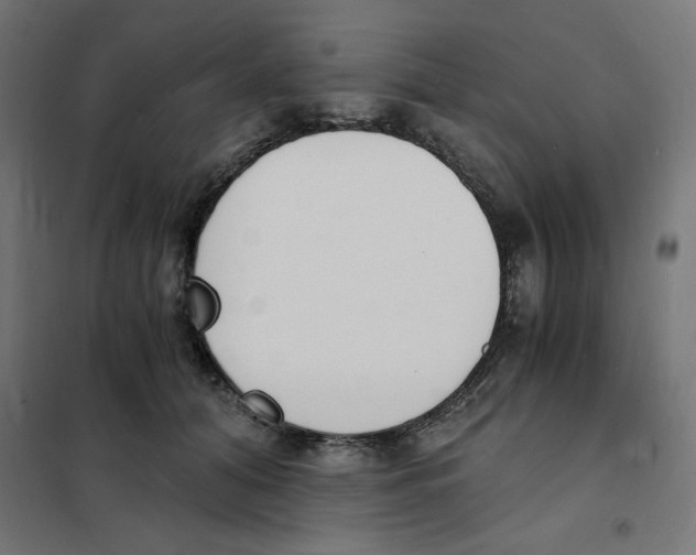 X0000101670608200808071047